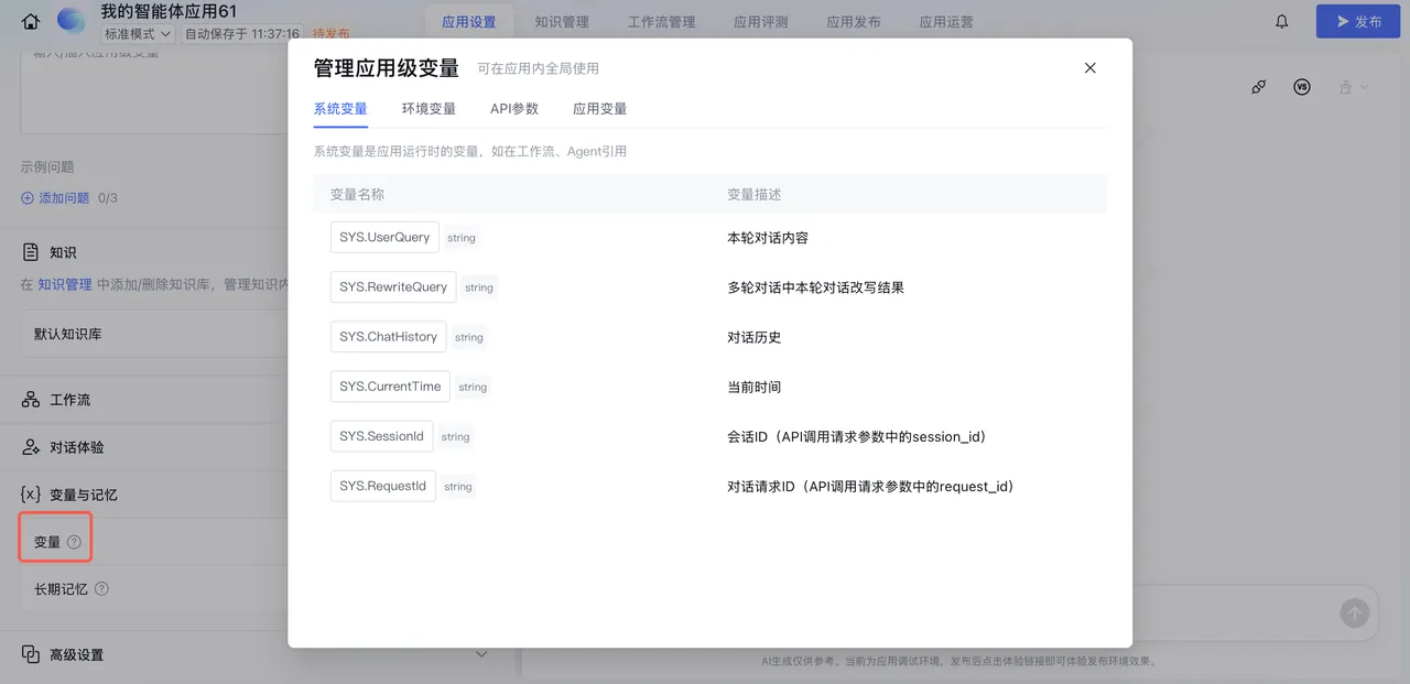 应用变量配置