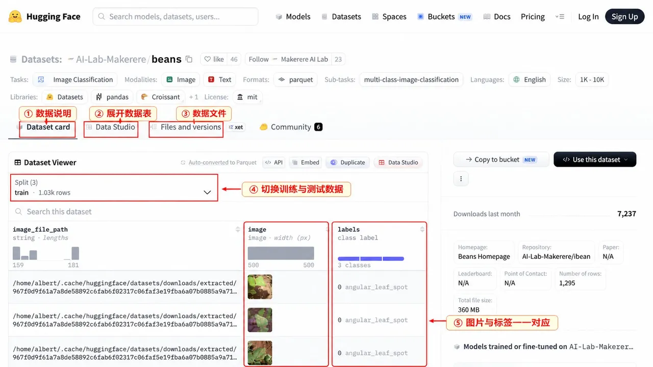 这张图片是Hugging Face平台上Makerere AI Lab的beans数据集的操作界面，对应文档中查看数据集样本的内容。界面里用红色标注出三个核心模块：①数据说明（Dataset card）、②展开数据表（Data Studio）、③数据文件（Files and versions），还标注出④切换训练与测试数据的选项，中间表格区域展示了对应样本，用红色箭头和标注⑥说明表格内image列的图片与labels列的分类标签一一对应，清晰呈现了该豆类叶片分类数据集的样本查看方式。