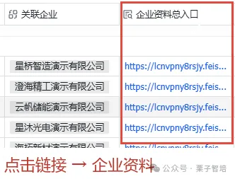 这张图展示的是业务明细右侧的企业资料入口区域,该区域为红色框选突出部分,包含多个蓝色超链接,每个链接对应不同的内容,且均指向相关资料,这些链接的名称和指向逻辑清晰,与上下文提到的将文件链接放入客户总表和业务明细的“企业资料总入口”的内容相呼应,体现了方便快速直达对应资料的设计,帮助解决资料查找不便的问题。