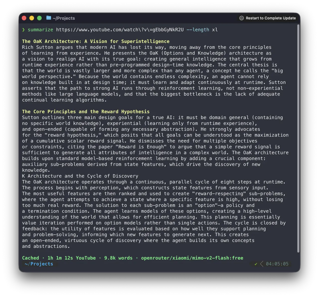Summarize CLI 截图